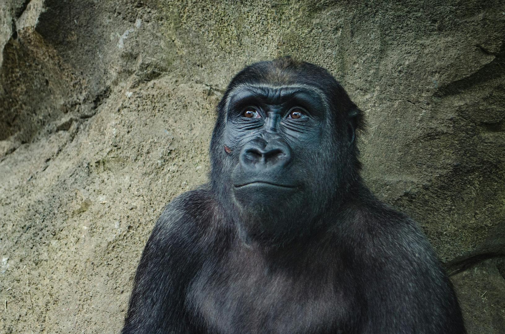 Clean Monkey Patching in Ruby