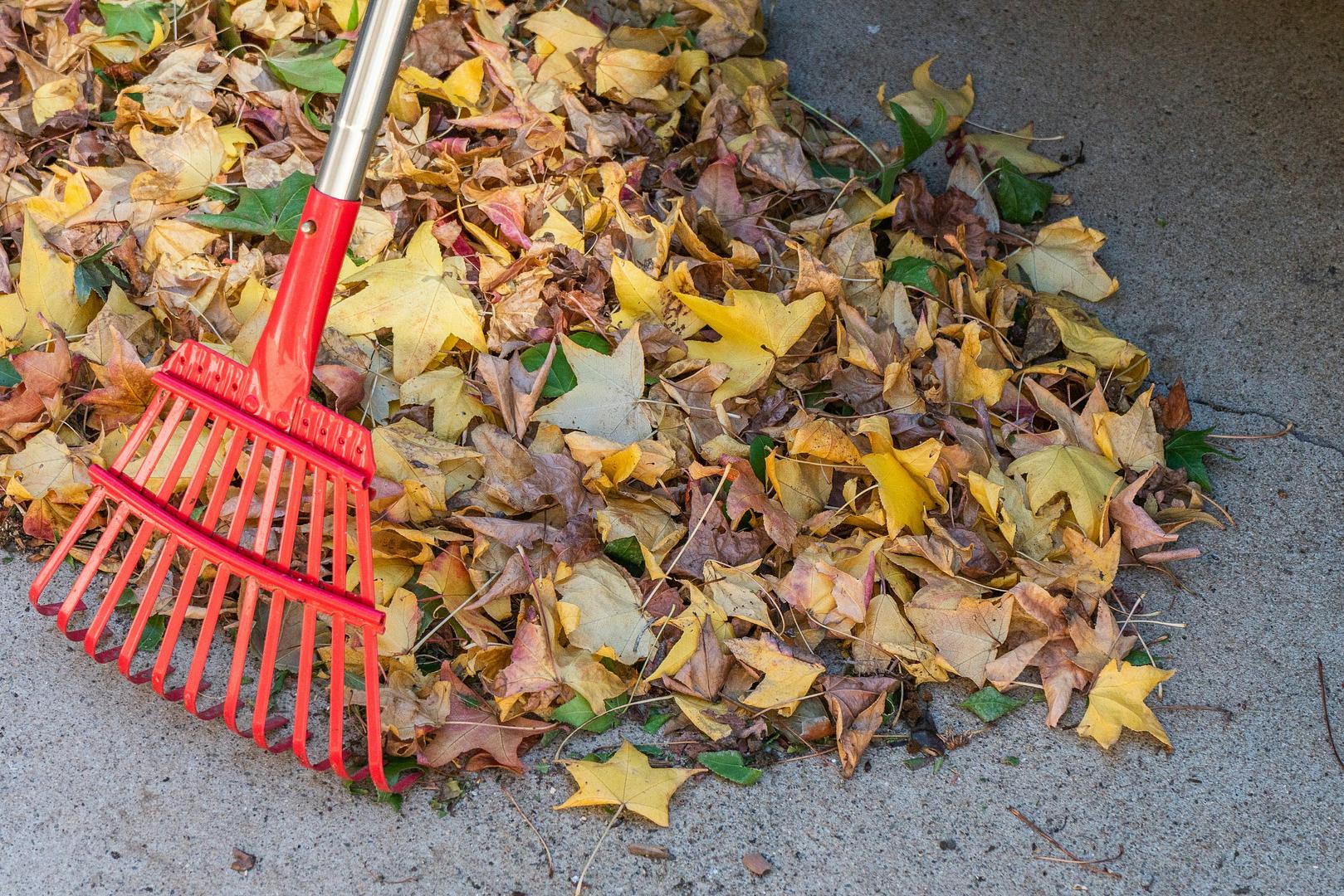 A Gem that Provides Rake Tasks