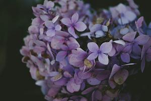 Inline Bundler for Ruby Scripts