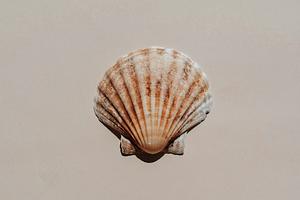 TIL: How to Export .env Variables to the Current Shell