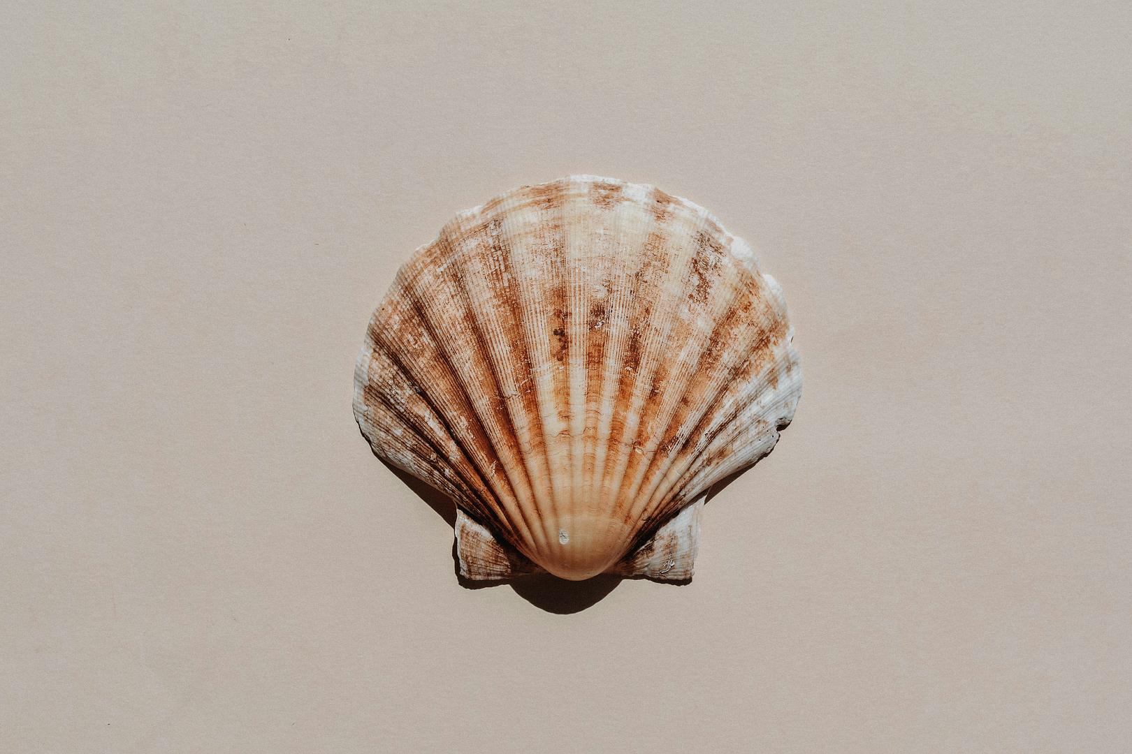 TIL: How to Export .env Variables to the Current Shell