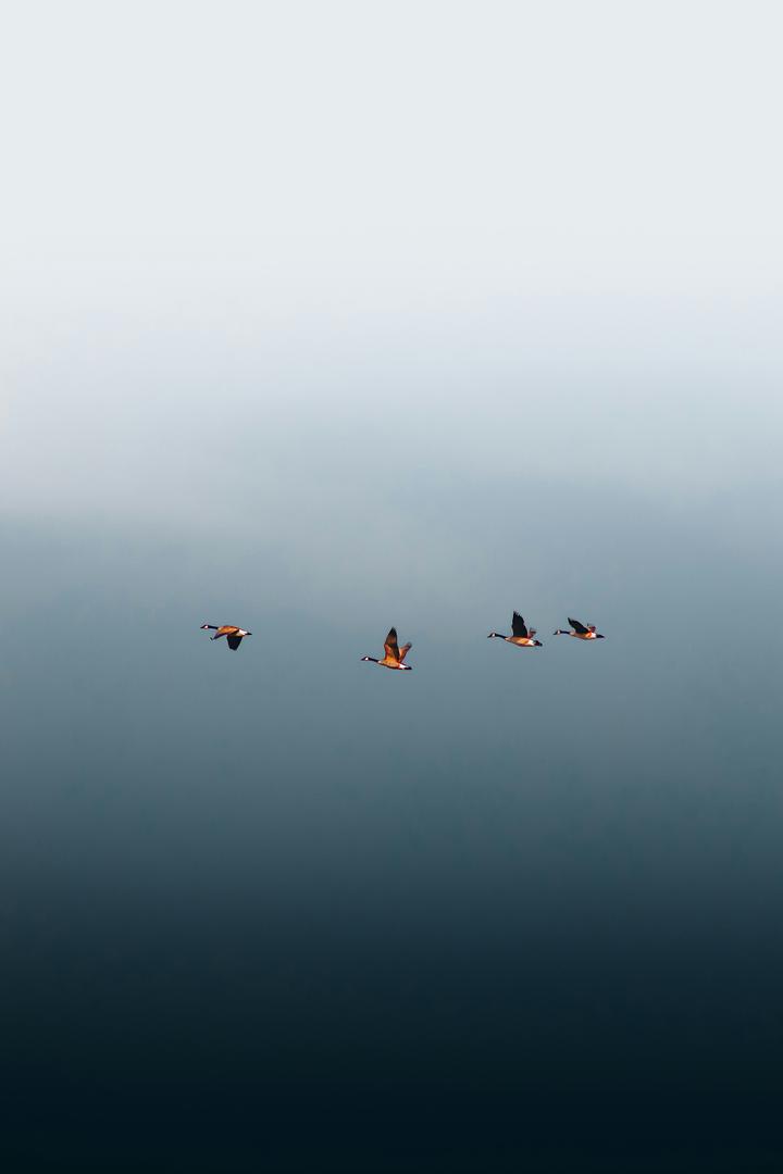 Ruby, Async and HTTP