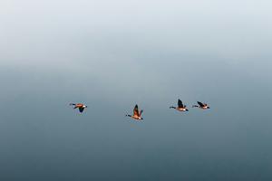 Ruby, Async and HTTP