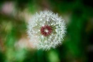 Temporary Directories in Ruby