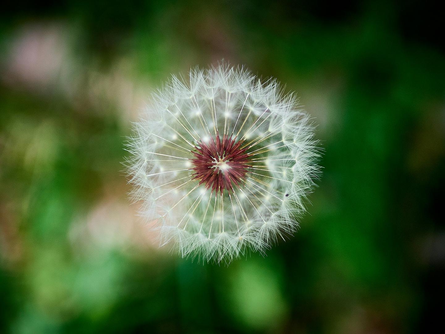 Temporary Directories in Ruby