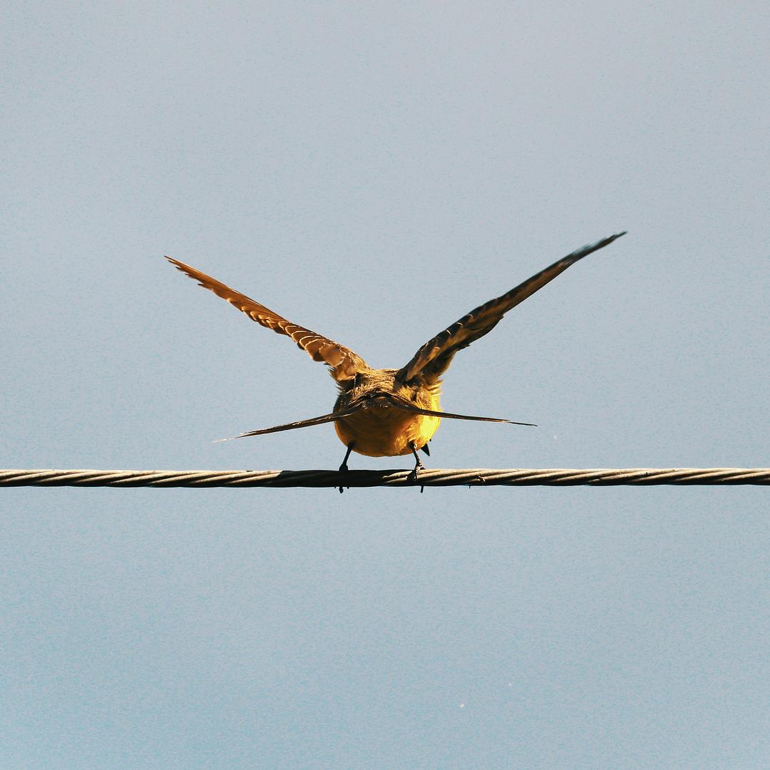 Ruby hashes: defaults and overrides